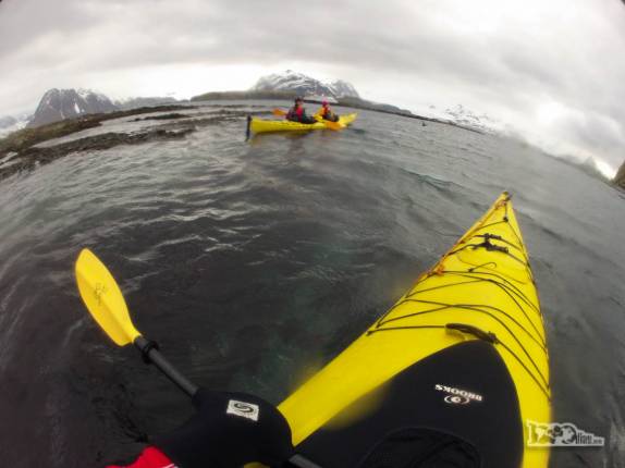Remando nas águas geladas de Prion Island, na Geórgia do Sul